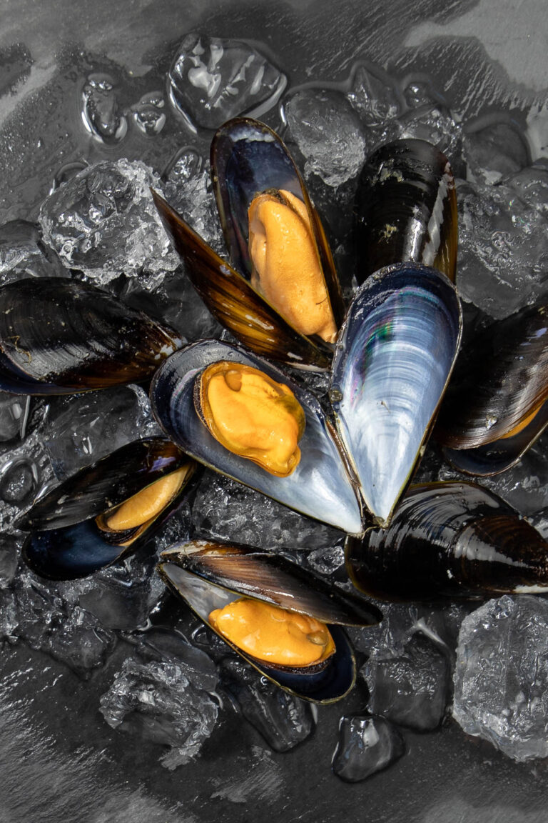 Małże Rifon Seafood